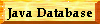 Java Database